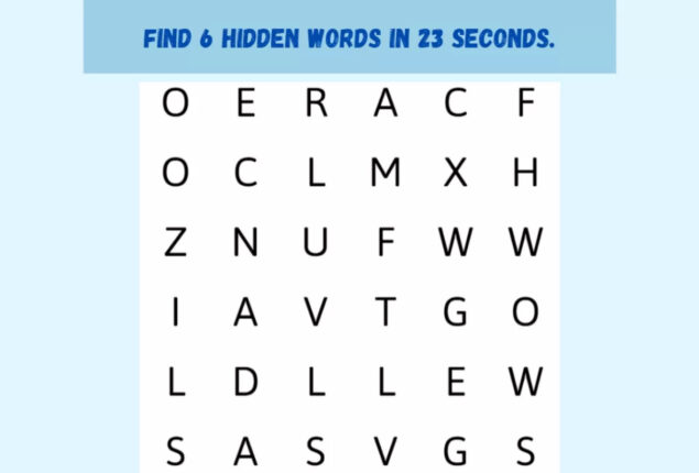Word Search Puzzle: Find 6 words in the image in 23 seconds