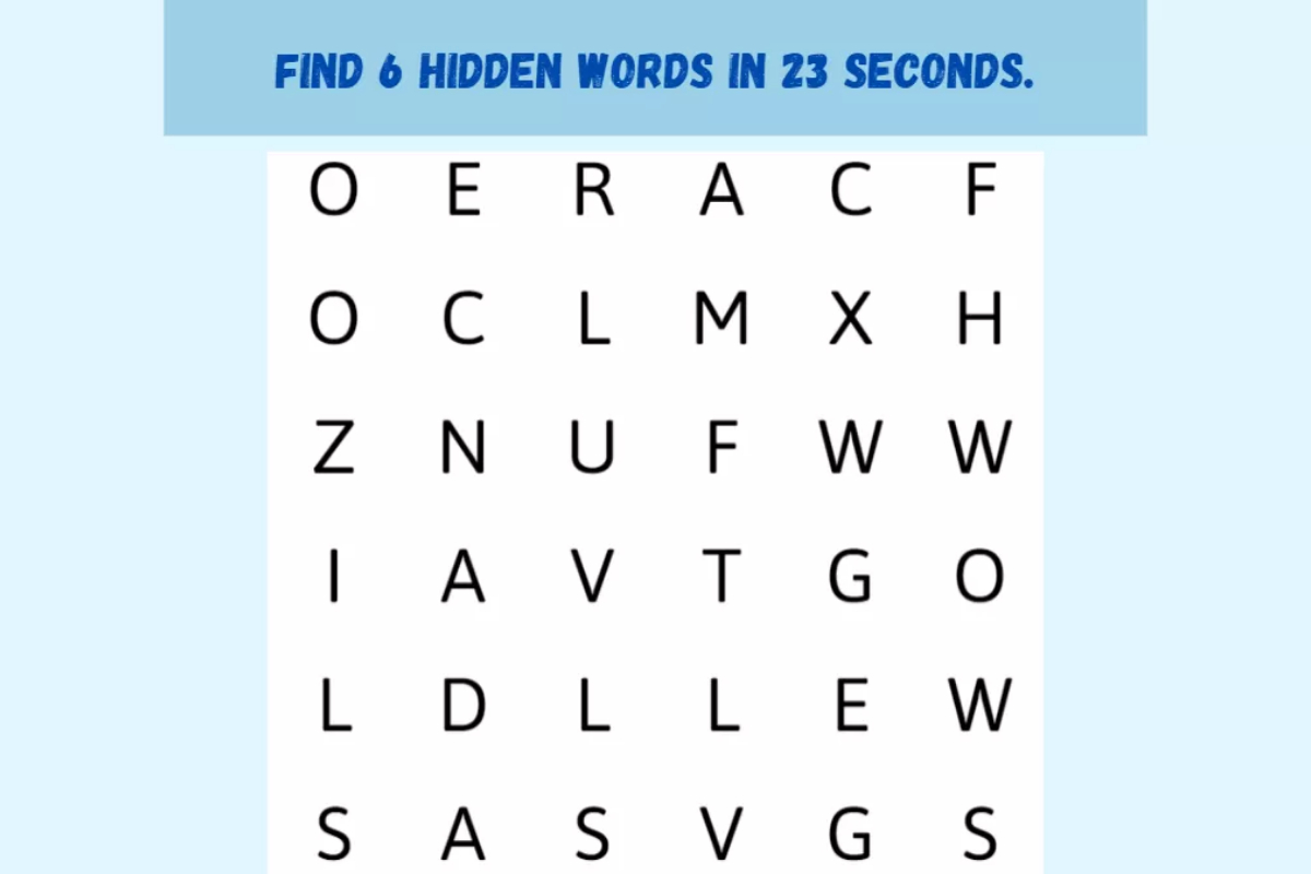Word Search Puzzle