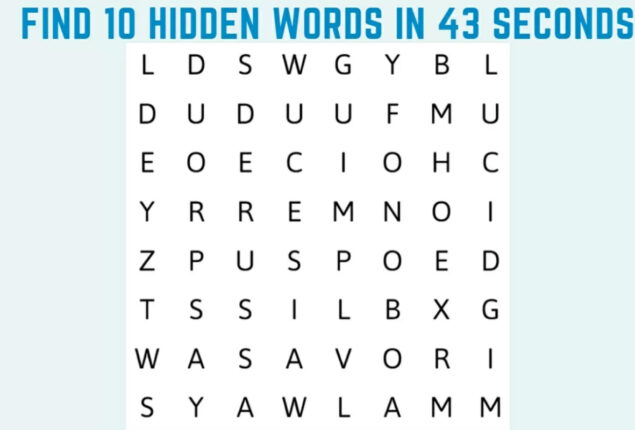 Word Search Puzzle: Spot 10 words in the image in 43 seconds