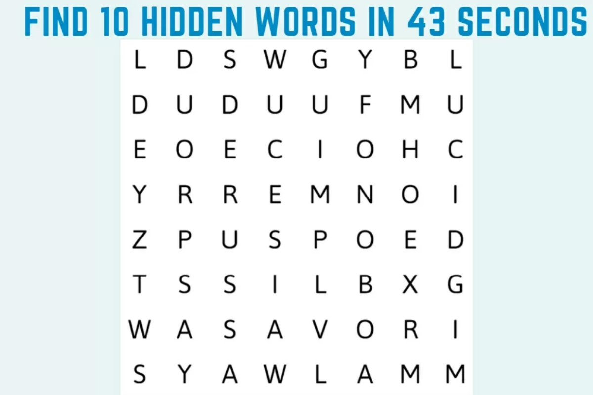 Word Search Puzzle
