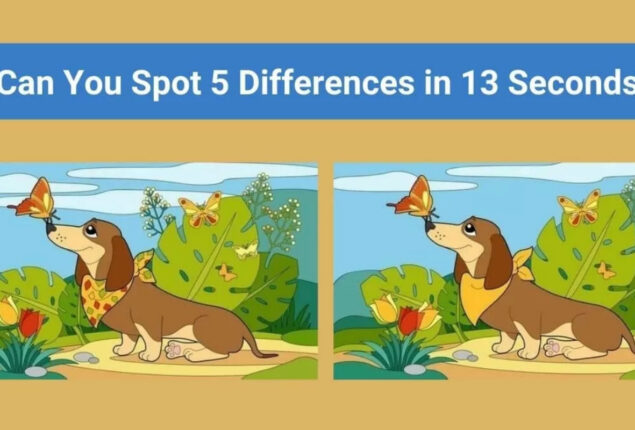 Spot The Difference: Find 5 differences between the two images