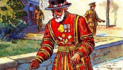 Optical Illusion: Find the Guard’s Hidden Bird in Vintage Picture