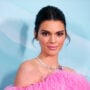 Kendall Jenner fans accused her for photoshop fail