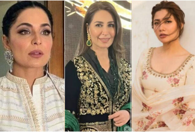 Meera claims that she has no grudges against Reema and Mahira