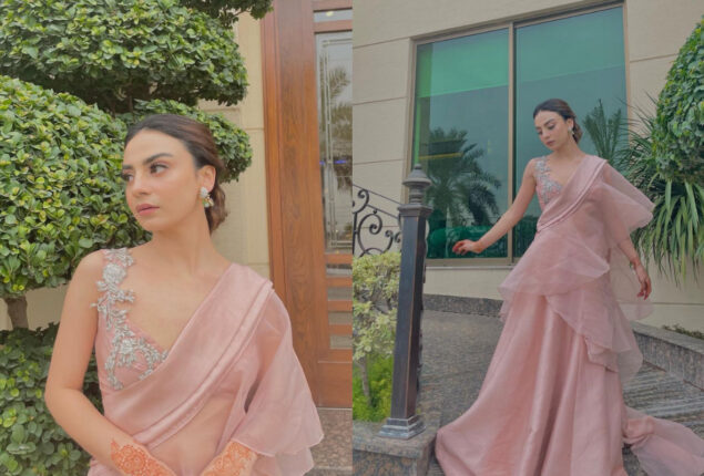 Mehar Bano Exudes Irresistible Charm In Blush Pink Saree