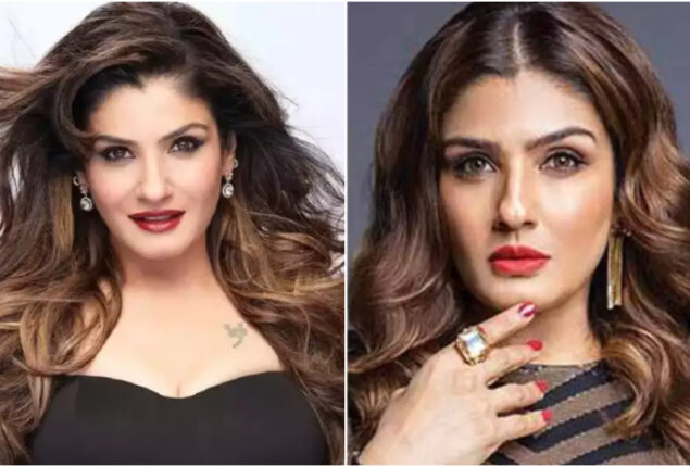 Raveena Tandon spoke about being body shamed