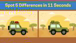 Spot The Difference: Spot 5 differences between two images in 11 seconds