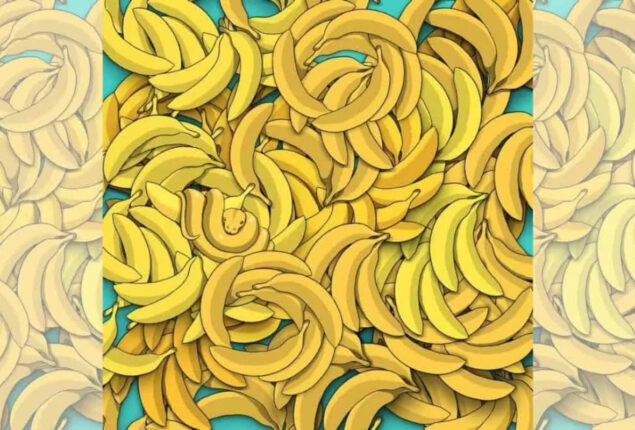 Optical Illusion: You are a champion if you can spot snake in 5 seconds