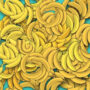 Optical Illusion: You are a champion if you can spot snake in 5 seconds
