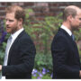 Prince William ‘well aware’ of the importance of ‘playing the long game’