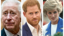 King Charles forbidden Harry from talking about Princess Diana