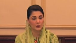 PML-N has started preparations for elections: Maryam Nawaz