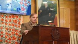 PM Shehbaz urges further unity to infuse vigour, strength to Kashmir cause