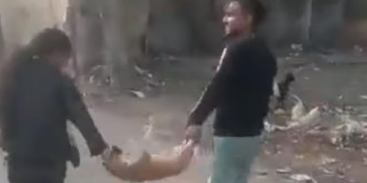viral video