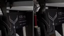 WATCH: Rat steals necklace from jewellery shop, video goes viral