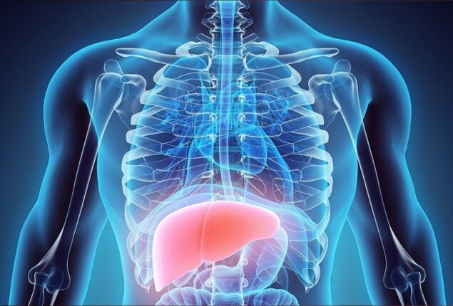Liver cancer: Risk factors for rise in Hepatocellular Carcinoma cases