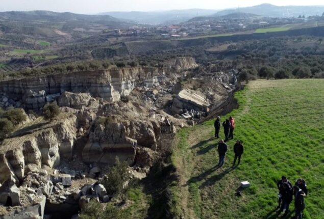 Earthquake caused deep gap in middle of Turkish olive grove