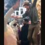 Belgian man dancing his heart out at Indian wedding goes viral