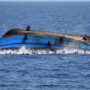 Four Pakistanis drown in boat wreck near Libya: FO