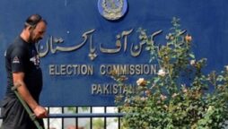 ECP elections