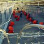 US transfers two brothers detained in Guantanamo Bay to Pakistan