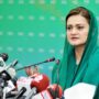 ECP being unconstitutionally pressurised to get poll dates: Marriyum