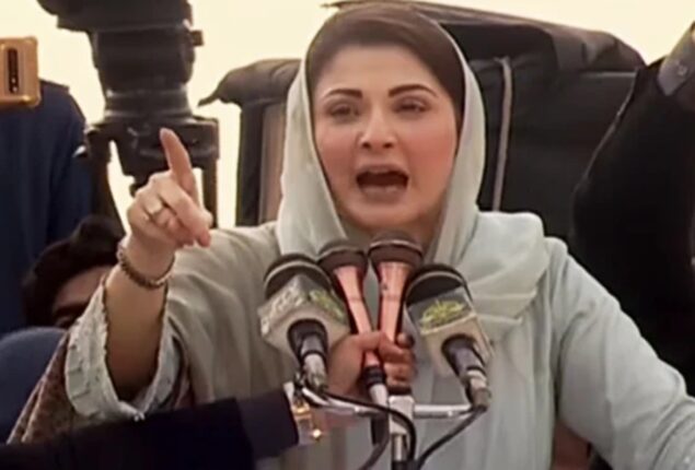 PDM is not electoral alliance, will contest own elections: Maryam Nawaz
