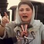 PDM is not electoral alliance, will contest own elections: Maryam Nawaz