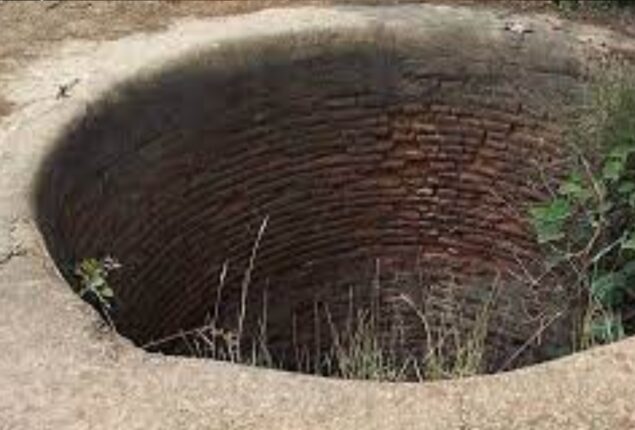 Three bodies including woman found in well