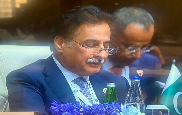 Minister for Economic Affairs Sardar Ayaz Sadiq