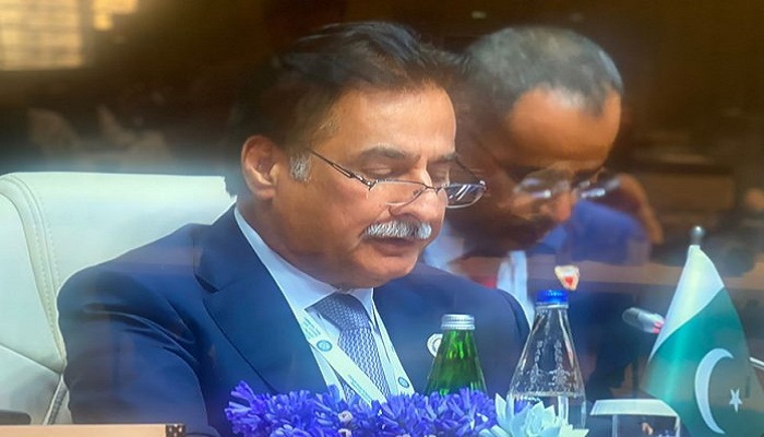 Minister for Economic Affairs Sardar Ayaz Sadiq