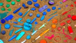 Optical Illusion: find the hidden fly in the sand is really tough! Can you do it?