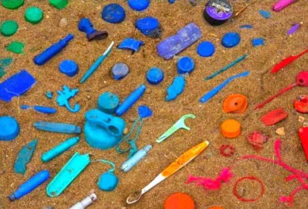 Optical Illusion: find the hidden fly in the sand is really tough! Can you do it?