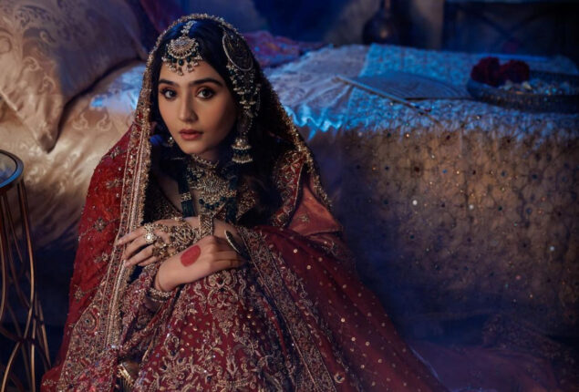 Durefishan Saleem looks beautiful & stylish in bridal photoshoot