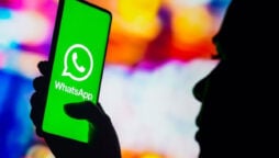 WhatsApp phone number