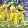 Mitchell Starc & Mitchell Marsh helps Australia to demolish India