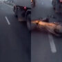 Biker nearly get crushed by two trailers