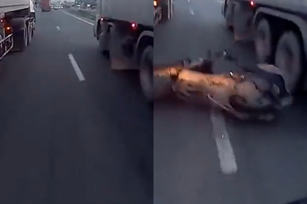 Man crushed by two trailers
