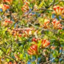 Optical Illusion: Find the hidden butterfly in 10 sec!