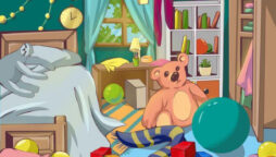 Optical Illusion: Only 5% can spot the hidden Turtle in Bedroom within 5 secs!