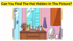 Brain Teaser: Can you spot the hidden hat within 10 seconds