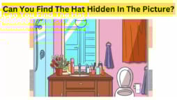 Brain Teaser: Can you spot the hidden hat within 10 seconds