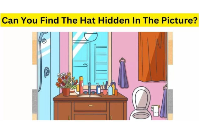 Brain Teaser: Can you spot the hidden hat within 10 seconds