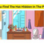 Brain Teaser: Can you spot the hidden hat within 10 seconds