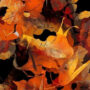 Optical Illusion: Spot a fox in the leaves in 5 seconds