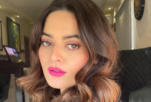 Minal Khan’s new photo makes round on social media