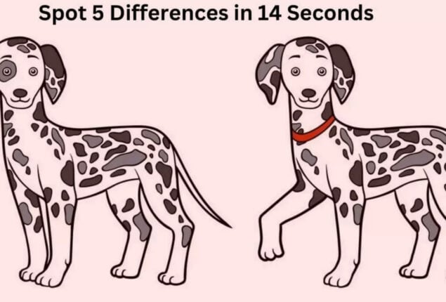 Spot The Difference: Find 5 differences between two pictures in 14 sec