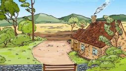 Brain Teaser: Spot the mistake in Countryside Picture within 5 secs