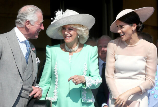 King Charles describes Meghan Markle’s role as supremely dull gig
