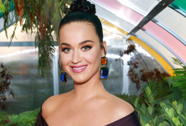 Katy Perry bullied an American Idol contestant?